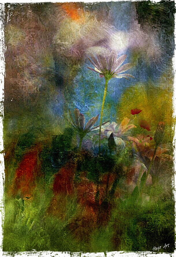 Hugo Art Photography. Les fleurs. Free and Happy,because I create..,.,