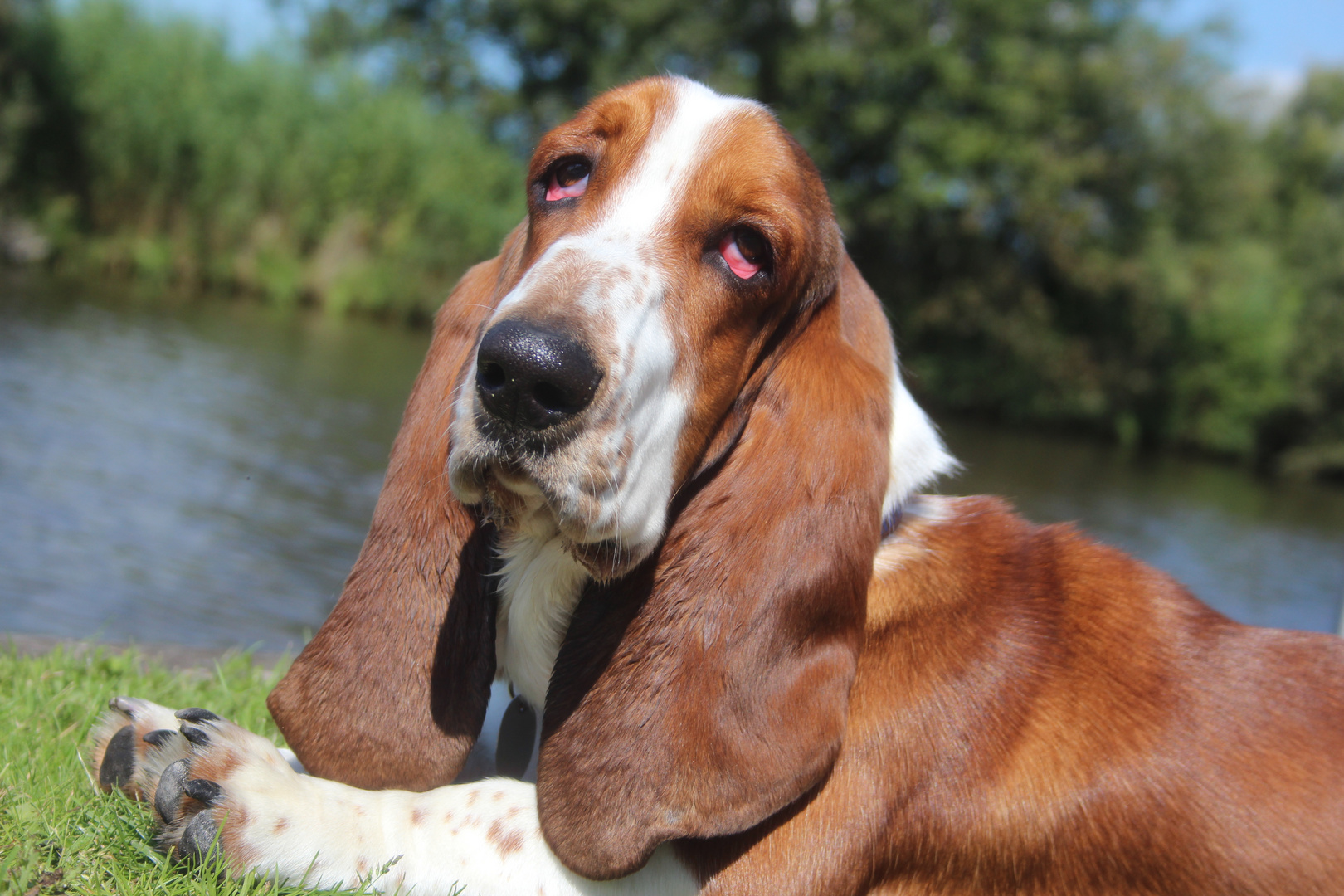 Hugo Boss am Kanal beim Sonnenbaden