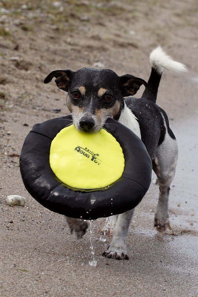 Hugo und sein Lieblingsspielzeug