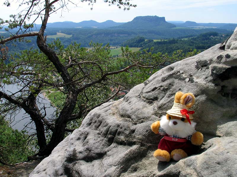 Hugo vor dem Lilienstein im Elbsandsteingebirge