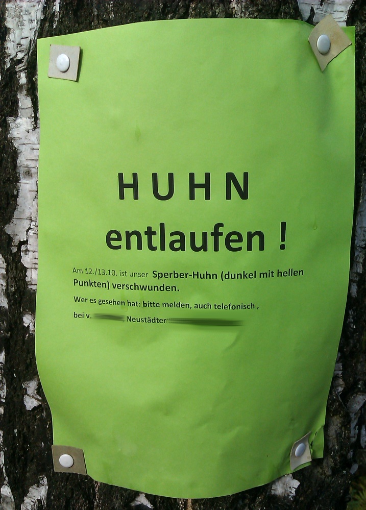 Huhn entlaufen