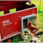Huhn to go
