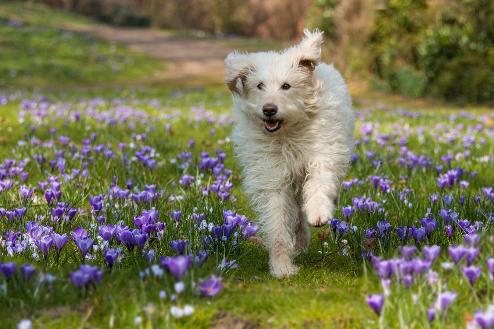 Huhu! Endlich Frühling!