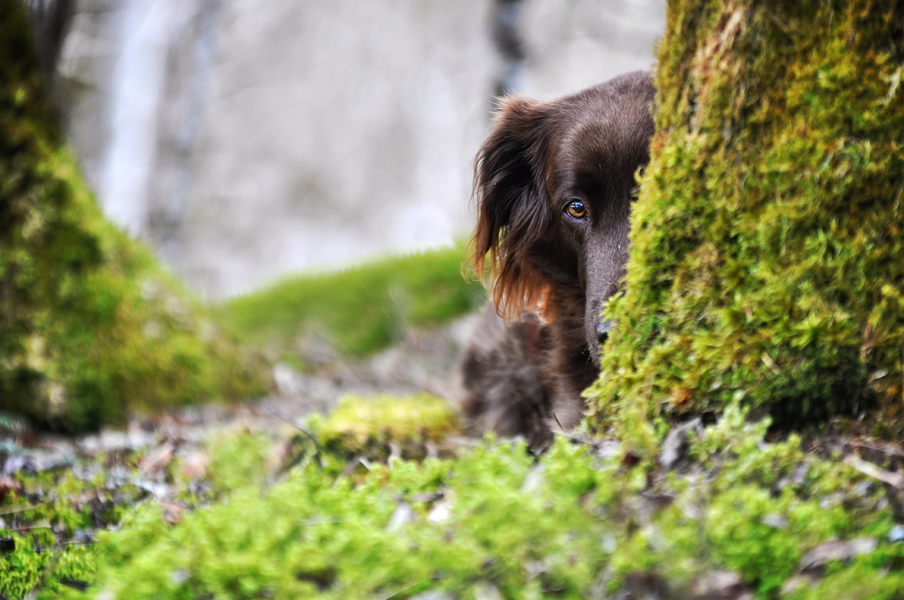 Huhu Frühling wo versteckst du dich???