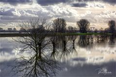  Huhwasser am Rhing ....