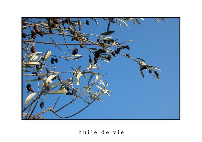 huile de vie