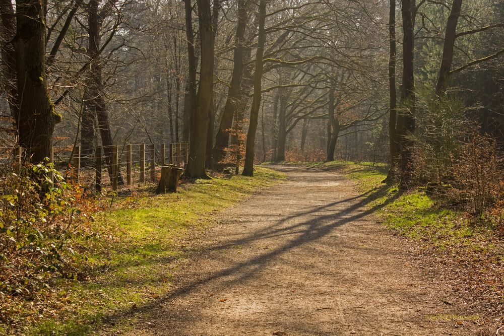 Hullerner Stausee 02