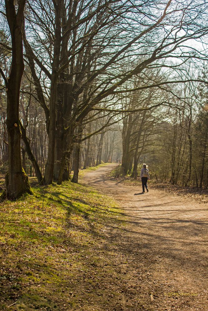 Hullerner Stausee