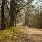 Hullerner Stausee