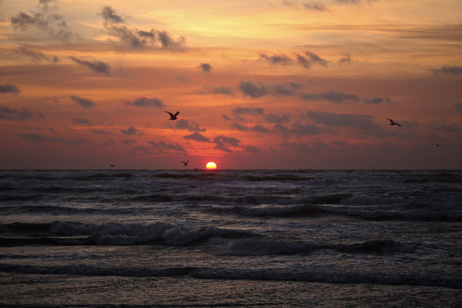 Hulsig - Sonnenaufgang am Kattegat (1)