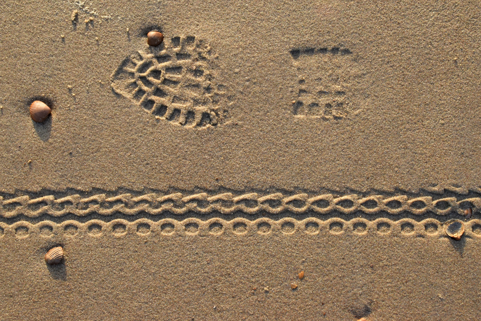 Human footprint