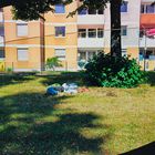 Human habitat (3)