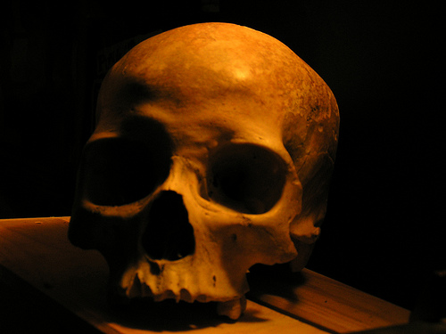 human skull