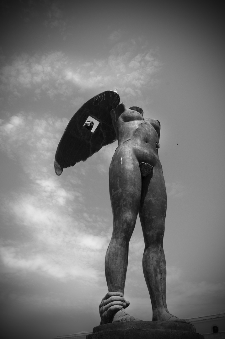 Humanitas /Physis - 1
