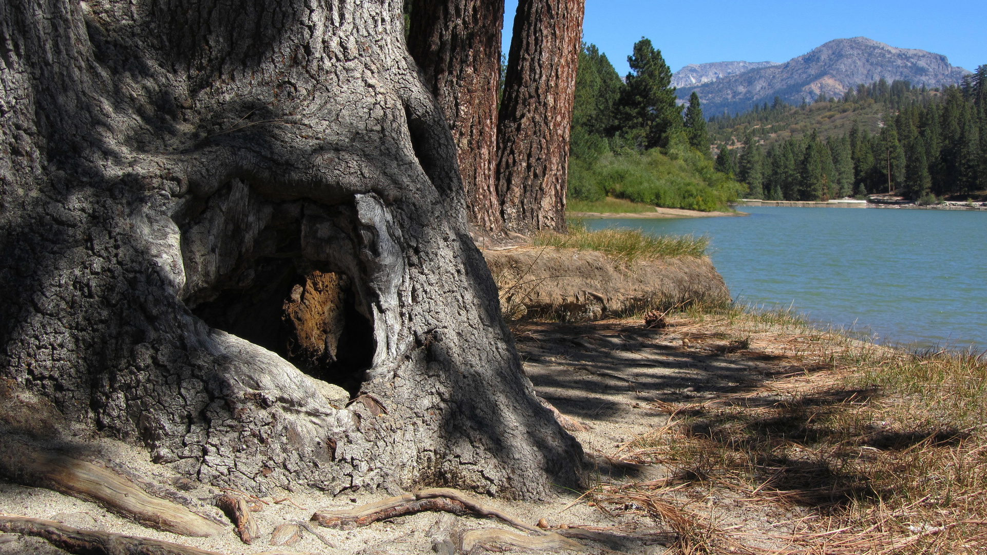 Hume Lake, Kalifornien