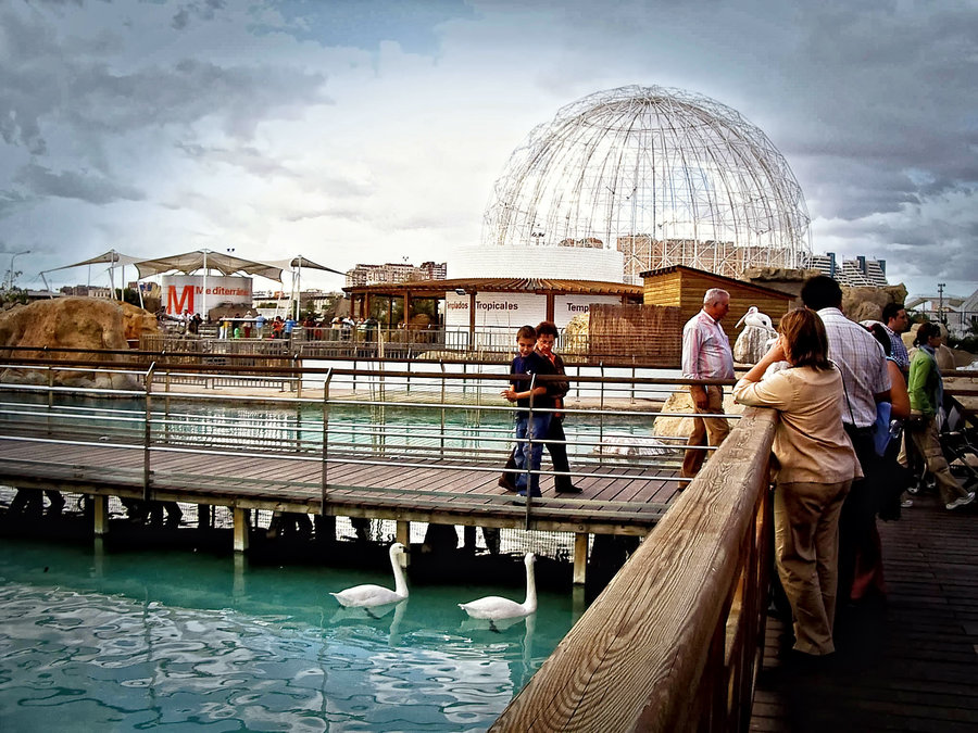 Humedal de la Ciudad de las Artes&Ciencias