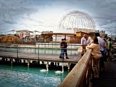 Humedal de la Ciudad de las Artes&Ciencias