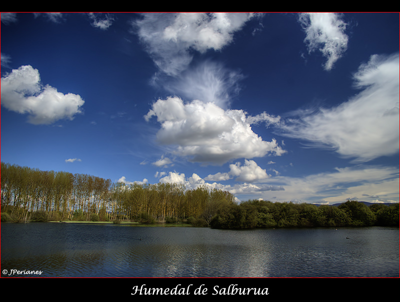 Humedal de Salburua -Dedicada a Carlos Valcárcel-