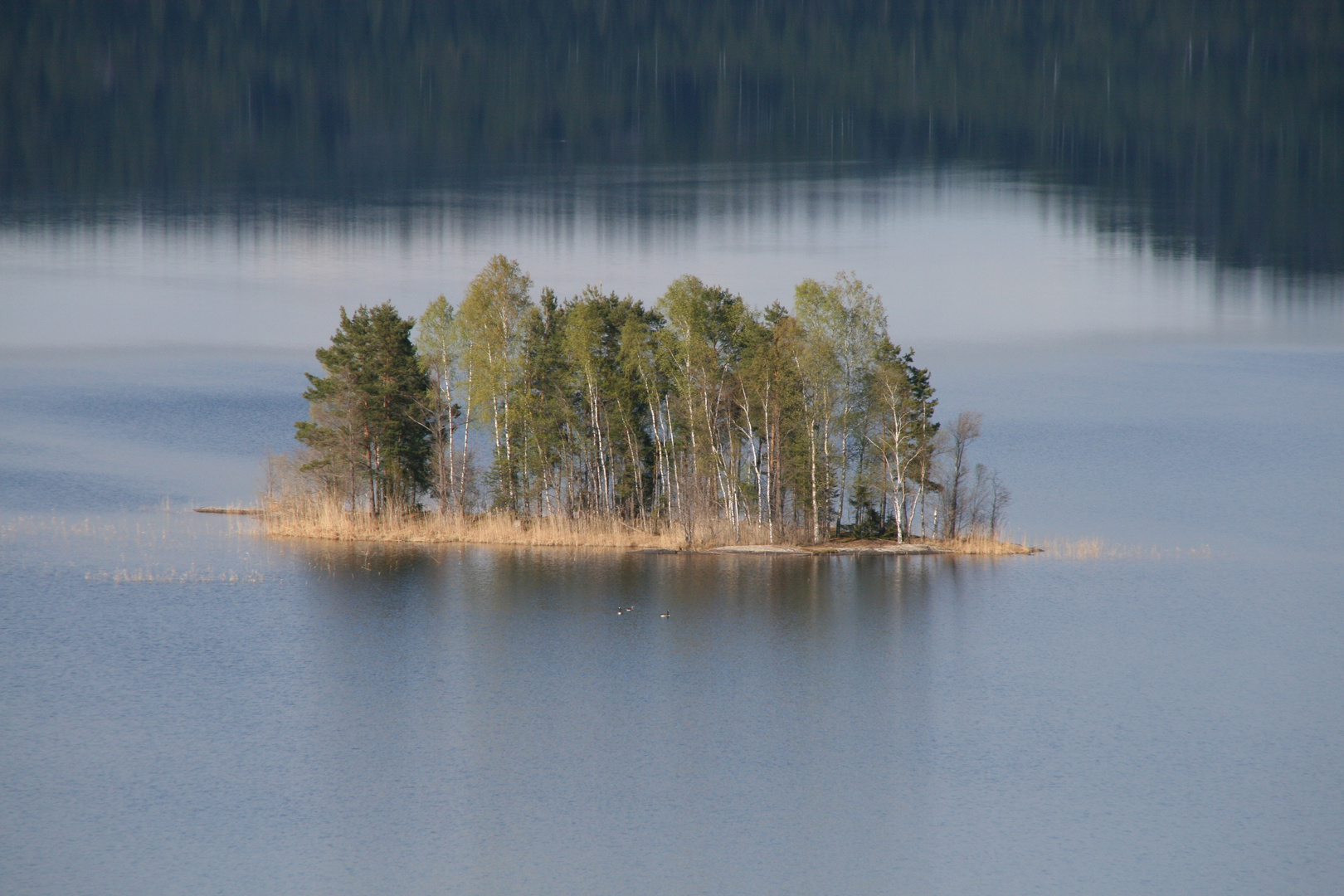 Humletorp Insel Schweden Sunne