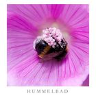 Hummelbad