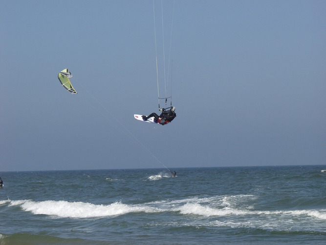 Hummeln können ja auch fliegen