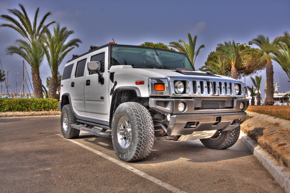 Hummer 001