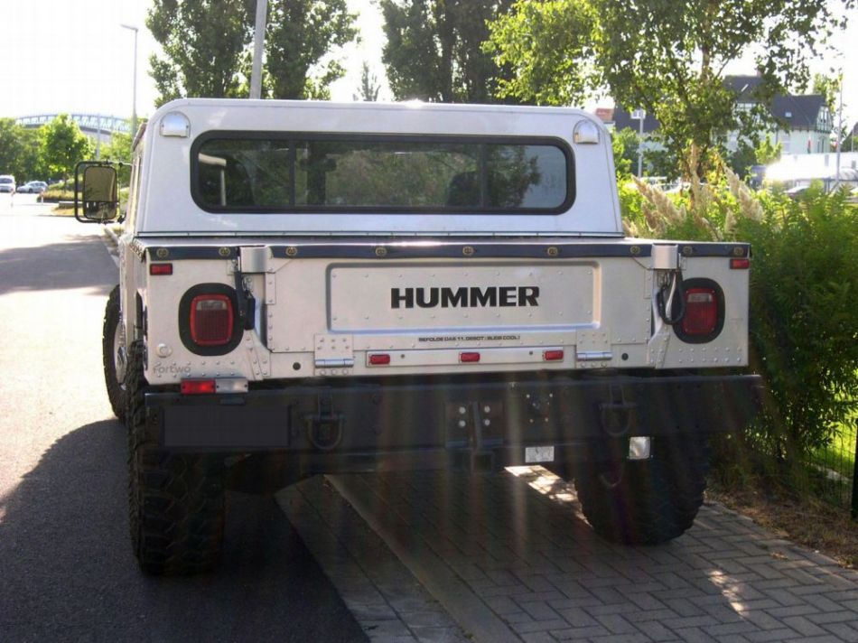 Hummer: Eckiger Popo