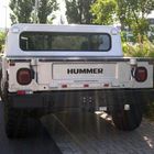 Hummer: Eckiger Popo