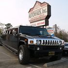 Hummer forte