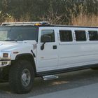 hummer in voller länge