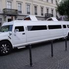 Hummer in voller Länge.