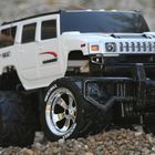 HUMMER1