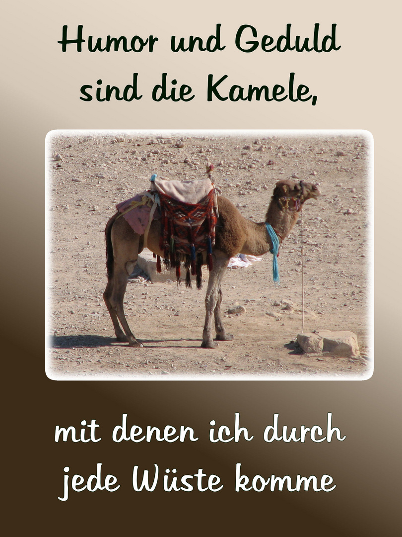 Humor und Geduld...