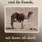 Humor und Geduld...