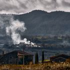 Humos del Campo