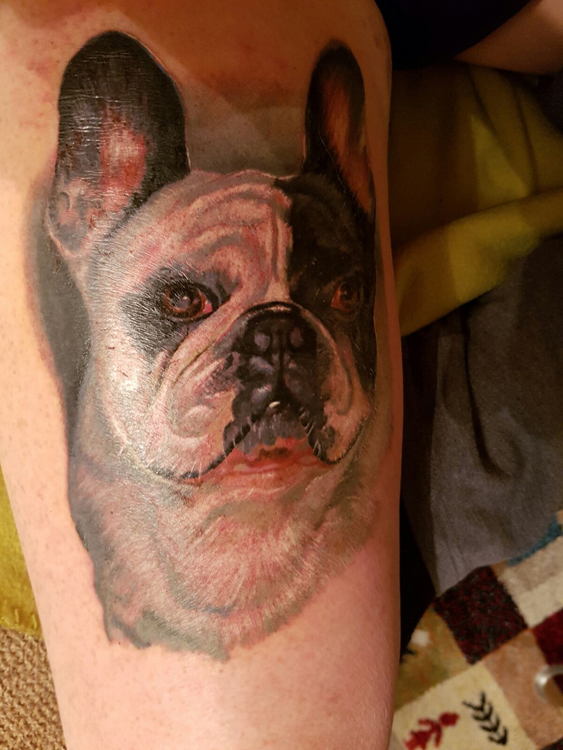 Hund Bein Hund Bein