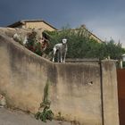 Hund auf der Mauer macht seinen Job (Provence)