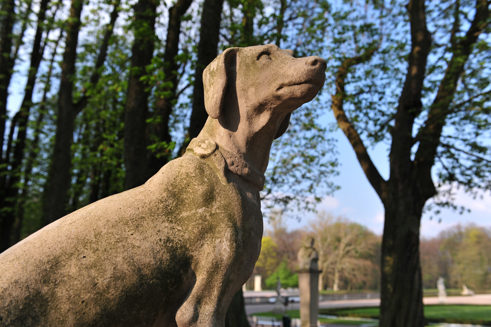 Hund aus Sandstein, Schloss Nordkirchen