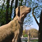 Hund aus Sandstein, Schloss Nordkirchen