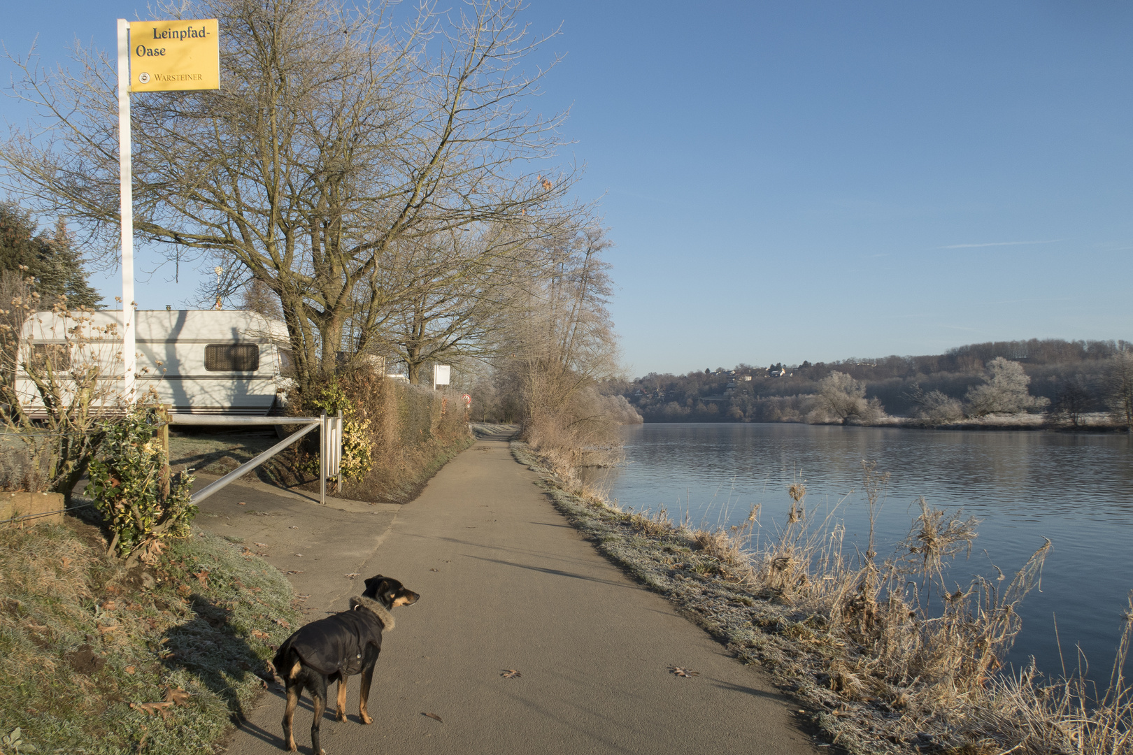 Hund denkt weise: Die Ruhr ist der Fluss der Einfachheit.