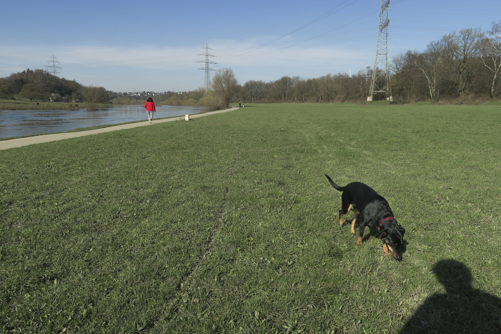 Hund folgt Spur, die von der Roten weg- und zu diesem geheimnisvollen Schatten hinführt.