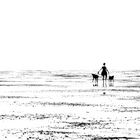 hund frau sw - nordsee 2019