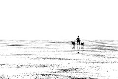 hund frau sw - nordsee 2019