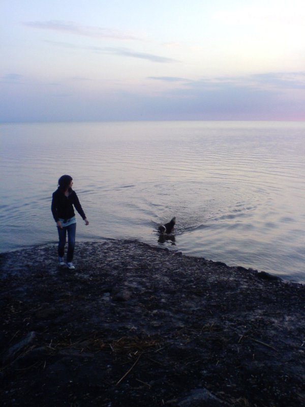 Hund im Meer