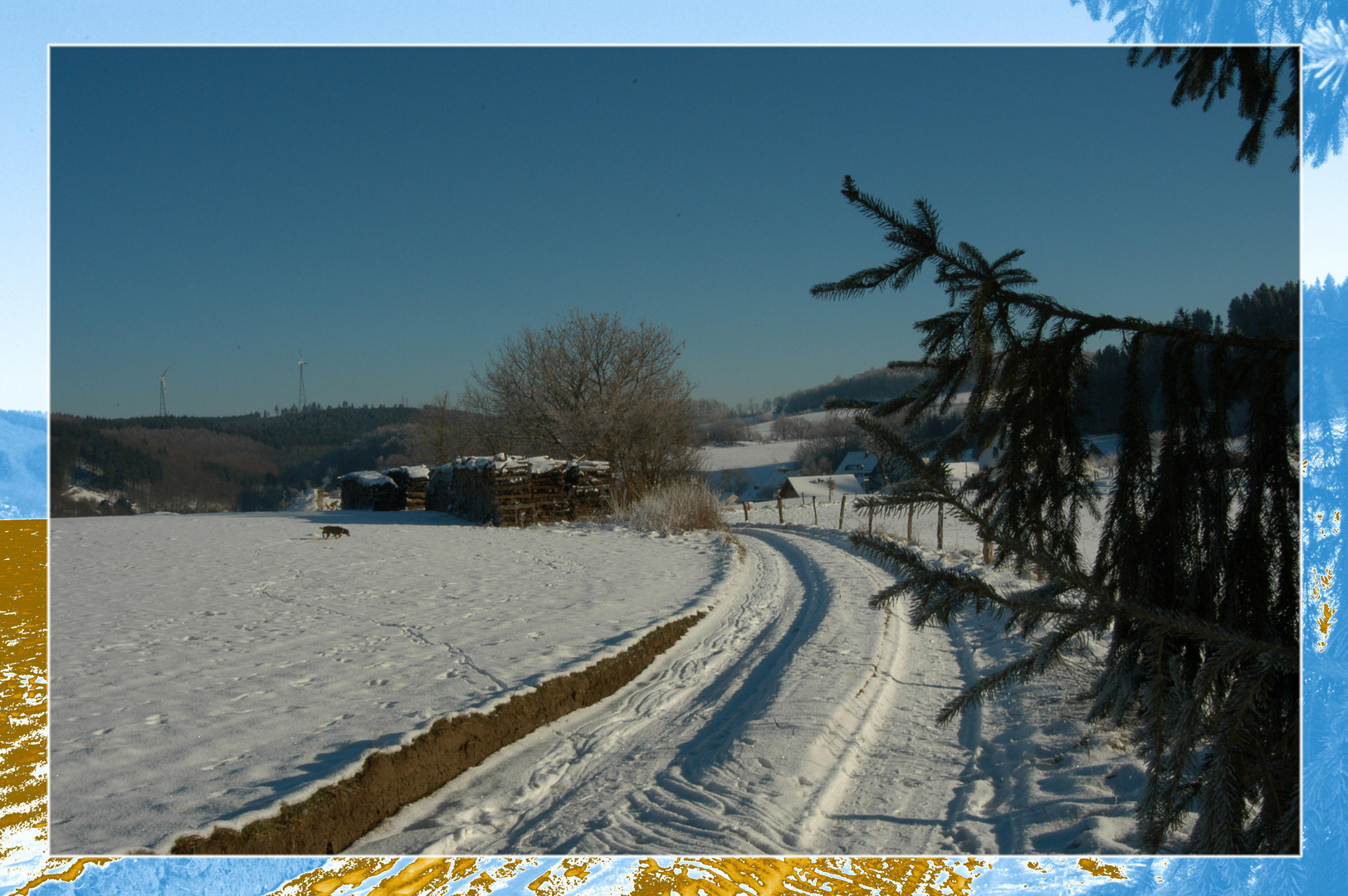 Hund im Schnee