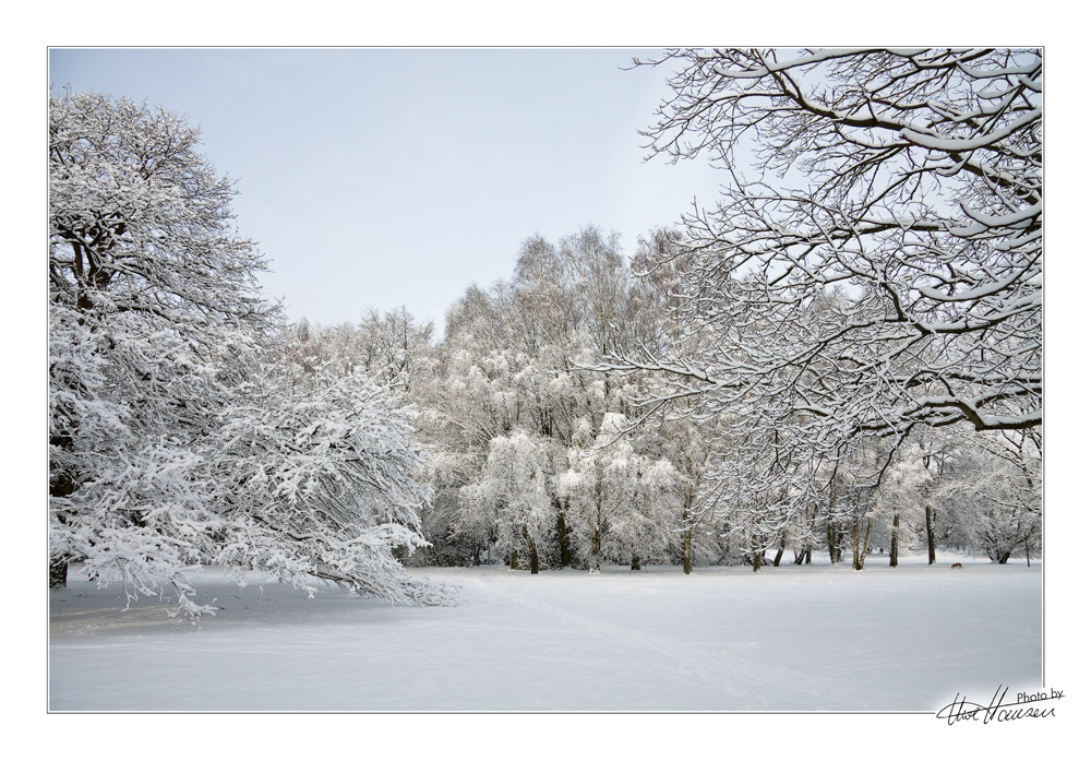 ~ Hund im Schnee II ~