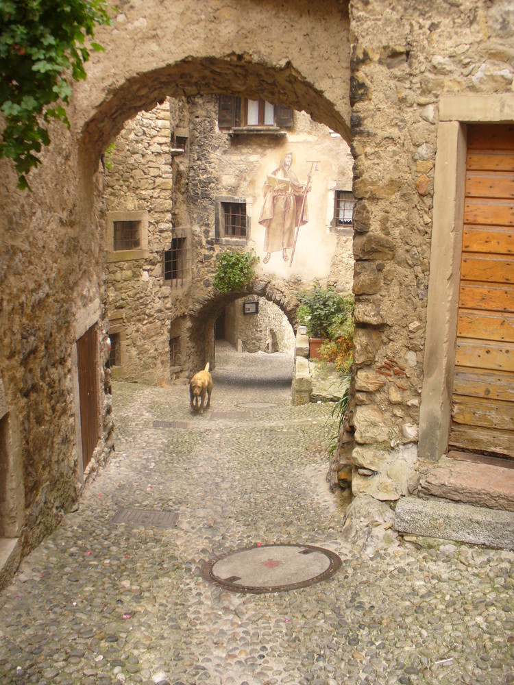 Hund in einem italienischen Gässchen