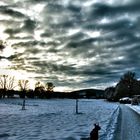 Hund in Schneelandschaft