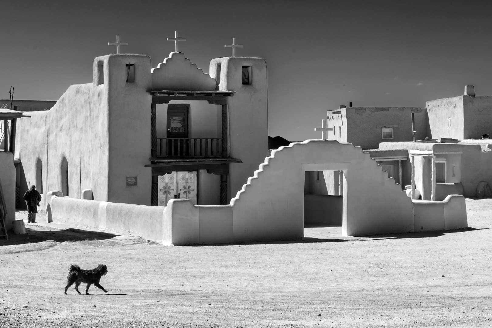 Hund in Taos