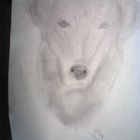 Hund Luna gemalt